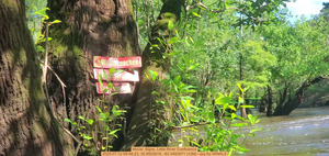 [Movie: Signs, Little River Confluence, 2025:07:12 09:48:23, 30.8503819, -83.3483971 (12M) --jsq for WWALS]