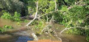 [Movie: Debris in the water, 2025:07:12 09:55:59, 30.8457170, -83.3470861 (45M) --jsq for WWALS]