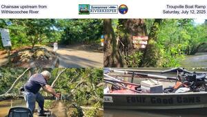 [Chainsaw upstream from Troupville Boat Ramp, Withlacoochee River, Saturday, July 12, 2025]