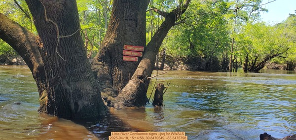 [Little River Confluence signs --jsq for WWALS, 2025-04-18, 15:14:56, 30.8470549, -83.3475798]