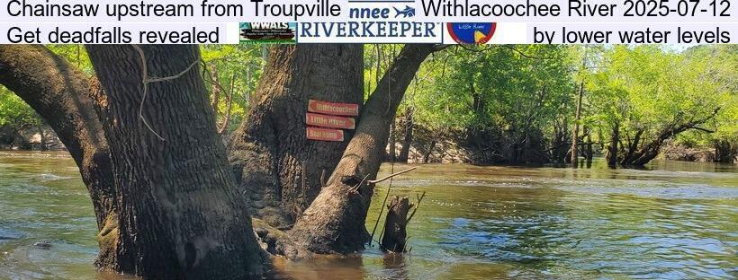 Chainsaw upstream from Troupville, Withlacoochee River 2025-07-12, Get deadfalls revealed by lower water levels