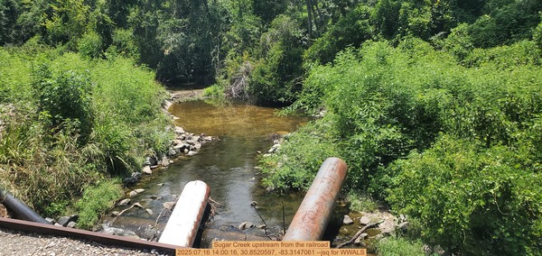 [Sugar Creek upstream from the railroad, 2025:07:16 14:00:16, 30.8520597, -83.3147061 --jsq for WWALS]
