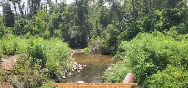 [Movie: Malia Thomas of WTXL TV videoing Sugar Creek and the sewage bypass pipe, 2025:07:16 14:00:34, 30.8520597, -83.3147061 (15M) --jsq for WWALS]