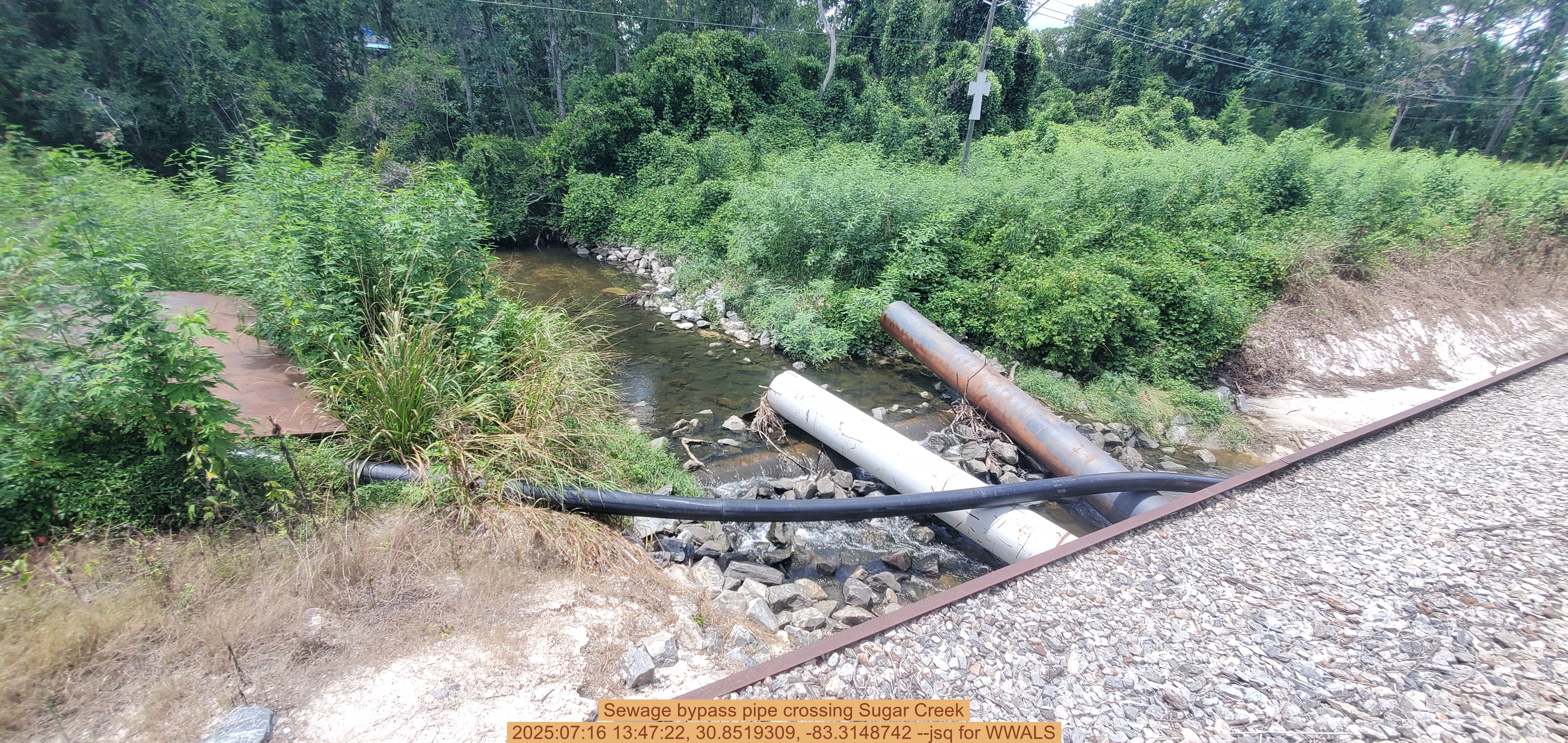 Sewage bypass pipe crossing Sugar Creek, 2025:07:16 13:47:22, 30.8519309, -83.3148742 --jsq for WWALS