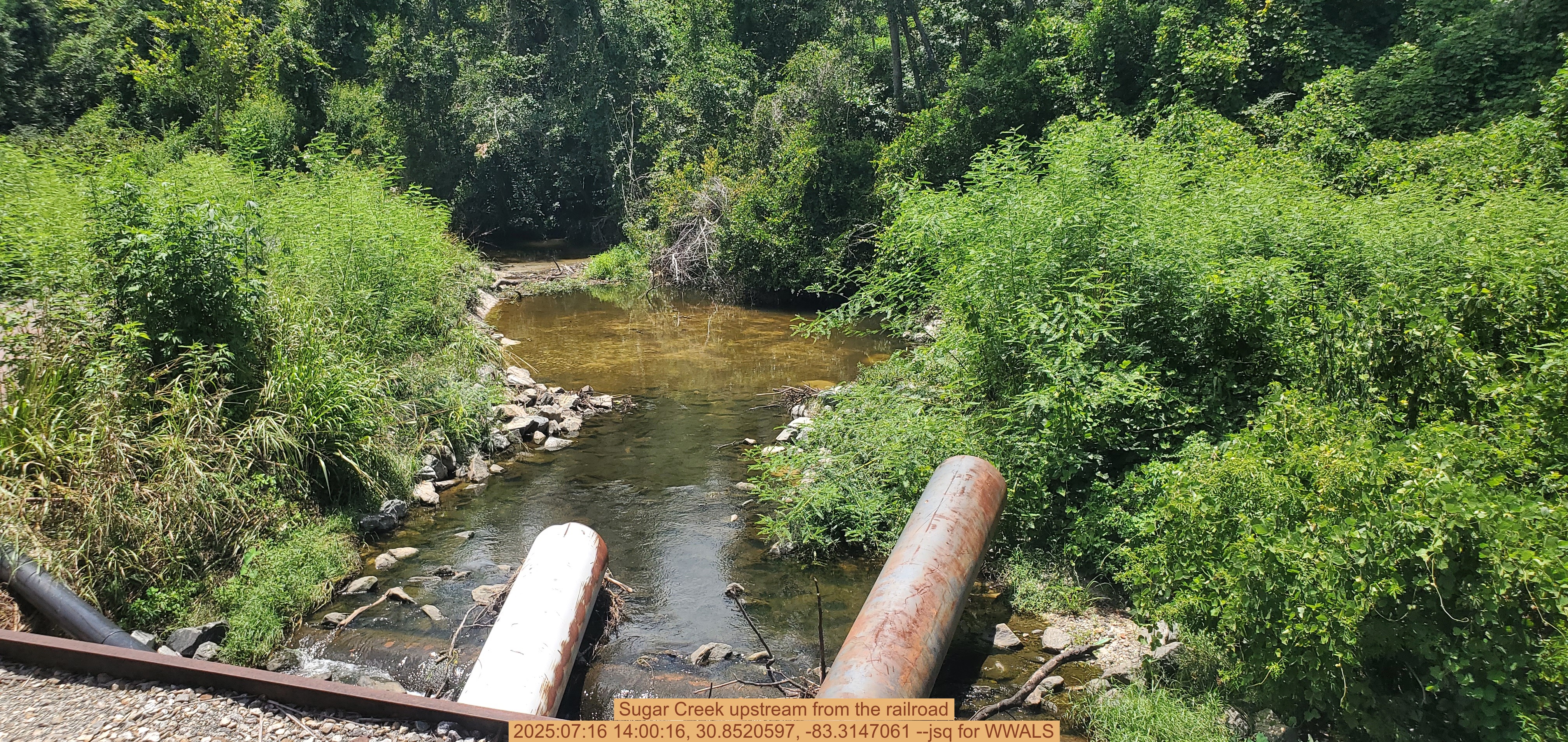 Sugar Creek upstream from the railroad, 2025:07:16 14:00:16, 30.8520597, -83.3147061 --jsq for WWALS