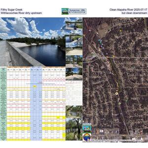 [Filthy Sugar Creek, Clean Alapaha River 2025-07-17, Withlacoochee River dirty upstream, but clean downstream]