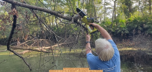 [Phil Hubbard sawing overhead, 2025:07:31 17:57:19, 30.8834871, -83.3246272 --jsq for WWALS]