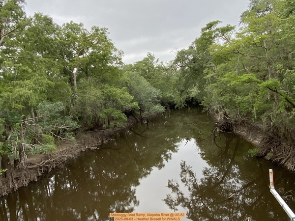 [Sheboggy Boat Ramp, Alapaha River @ US 82 2025-08-03 --Heather Brasell for WWALS]