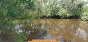 [Downstream, Langdale Park, Withlacoochee River, 2025:08:06 13:20:39, 30.8878846, -83.3240048 --jsq for WWALS]