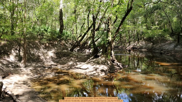 A point on the Withlacoochee River below Franklinville, 2019:08:03 10:46:46, 30.9785656, -83.2643913 --jsq for WWALS