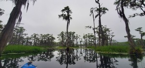 [Framed swamp, 2025-08-23 --jsq for WWALS]