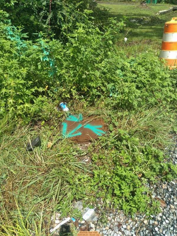 Manhole near road, 2025-08-23 --Scotti Jay