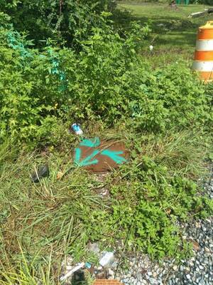 [Manhole near road, 2025-08-23 --Scotti Jay]