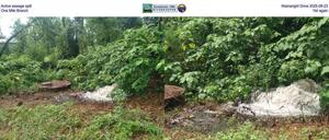 [Active sewage spill, Wainwright Drive 2025-08-23, One Mile Branch, Yet again]