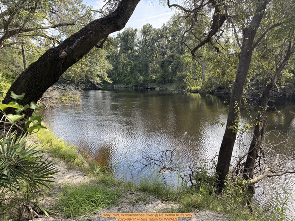 [Holly Point, Withlacoochee River @ NE Withla Bluffs Way 2025-09-17 --Russ Tatum for WWALS]