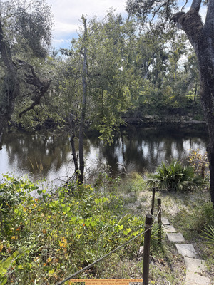[Holly Point other, Withlacoochee River @ NE Withla Bluffs Way 2025-09-17 --Russ Tatum for WWALS]