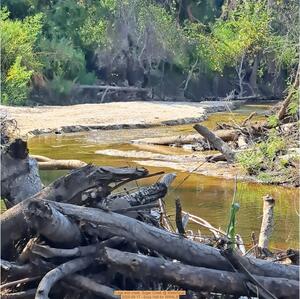 [Logs and creek, Sugar Creek @ WaterGoat 2025-09-17 --Suzy Hall for WWALS]