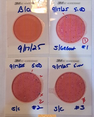 [Plates, Sugar Creek @ WaterGoat 2025-09-17 --Suzy Hall for WWALS]