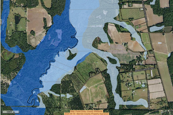 Map: Flood Zone, County Wetlands, 2025-09-18 --Berrien County Property Appraiser
