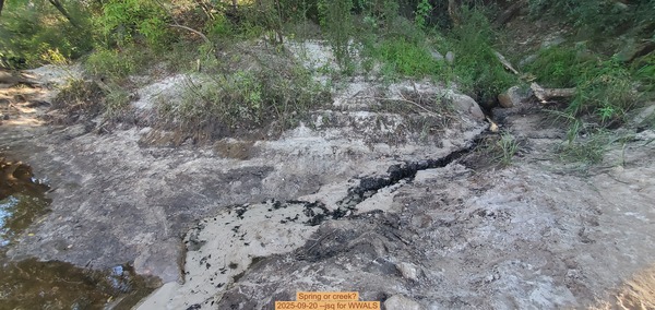 [Spring or creek?, 2025-09-20 --jsq for WWALS]