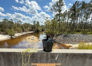 [Downstream, Lakeland Boat Ramp, Alapaha River @ GA 122 2025-09-25 --Kim Tanner for WWALS]