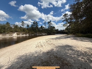 [Upstream, Naylor Park Beach, Alapaha River @ US 84 2025-09-25 --Kim Tanner for WWALS]
