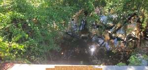 [Movie: Upstream Beatty Branch at Bemiss Road, 2025:09:25 11:24:35, 30.9813168, -83.2080949 (10M) --jsq for WWALS]