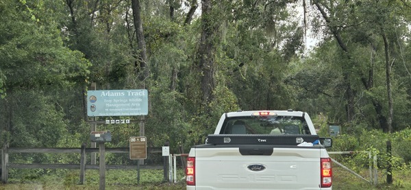 [Adams Tract, 2025:09:27 11:15:23, 30.0352667, -83.0372260]