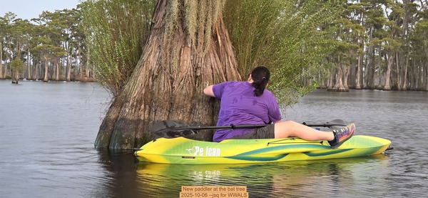 New paddler at the bat tree, 2025-10-06 --jsq for WWALS