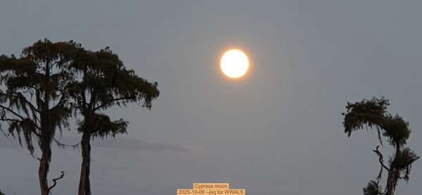 [Cypress moon, 2025-10-06 --jsq for WWALS]