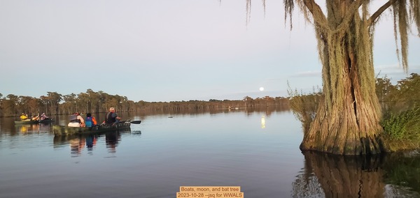 Boats, moon, and bat tree, 2023-10-28 --jsq for WWALS