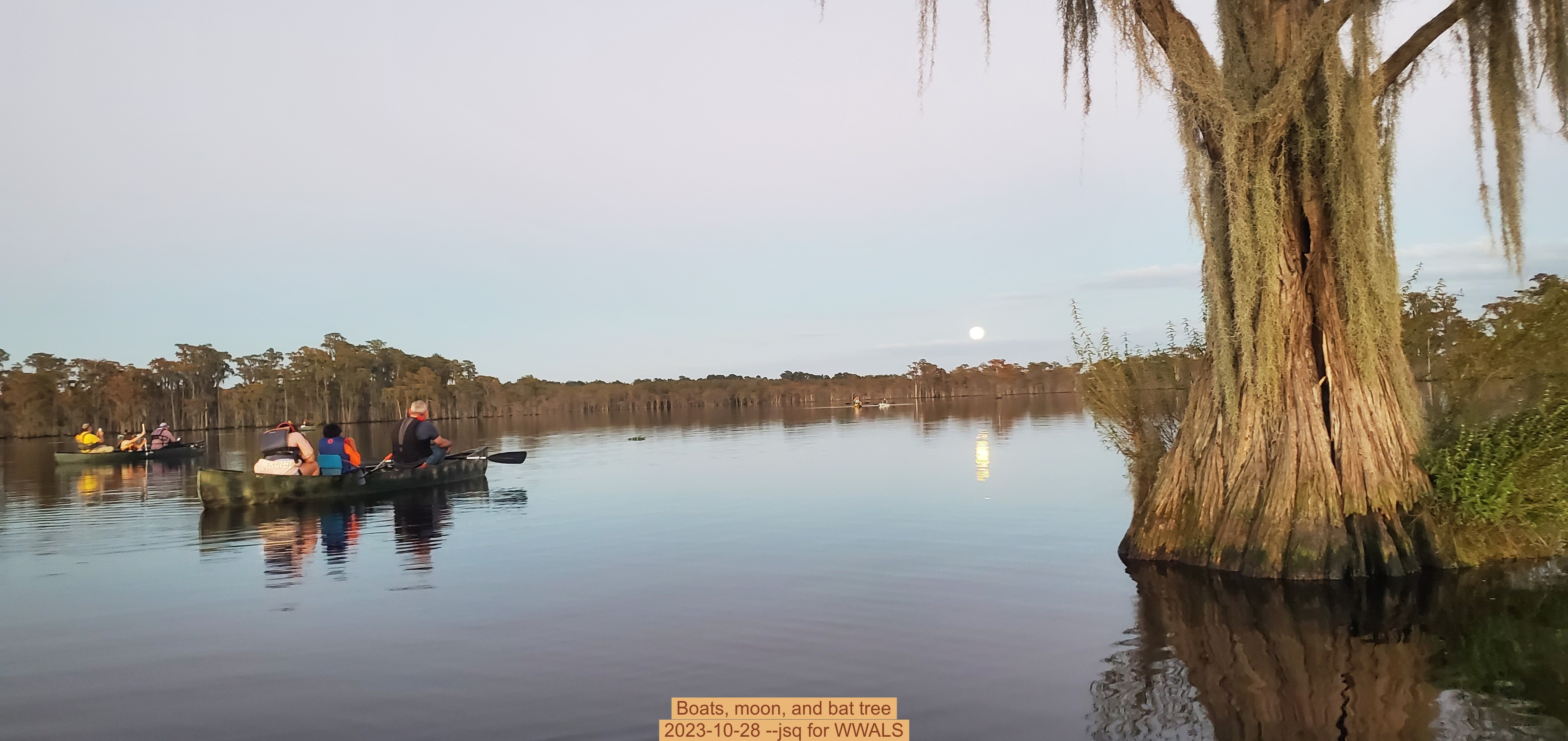 Boats, moon, and bat tree, 2023-10-28 --jsq for WWALS