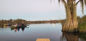 [Boats, moon, and bat tree, 2023-10-28 --jsq for WWALS]