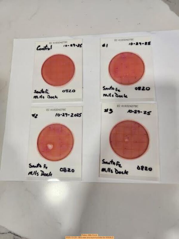 Plates, Mills Dock 2025-10-29 --Bob Mills and Kurt Hurzeler for WWALS