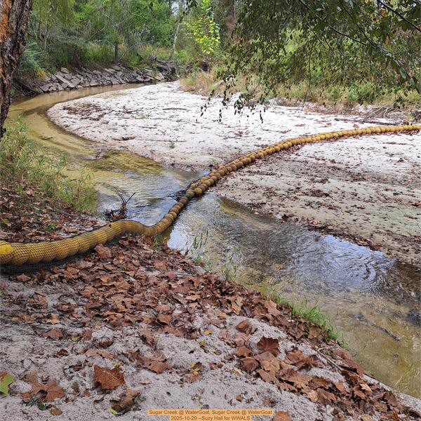 [Sugar Creek @ WaterGoat, Sugar Creek @ WaterGoat 2025-10-29 --Suzy Hall for WWALS]