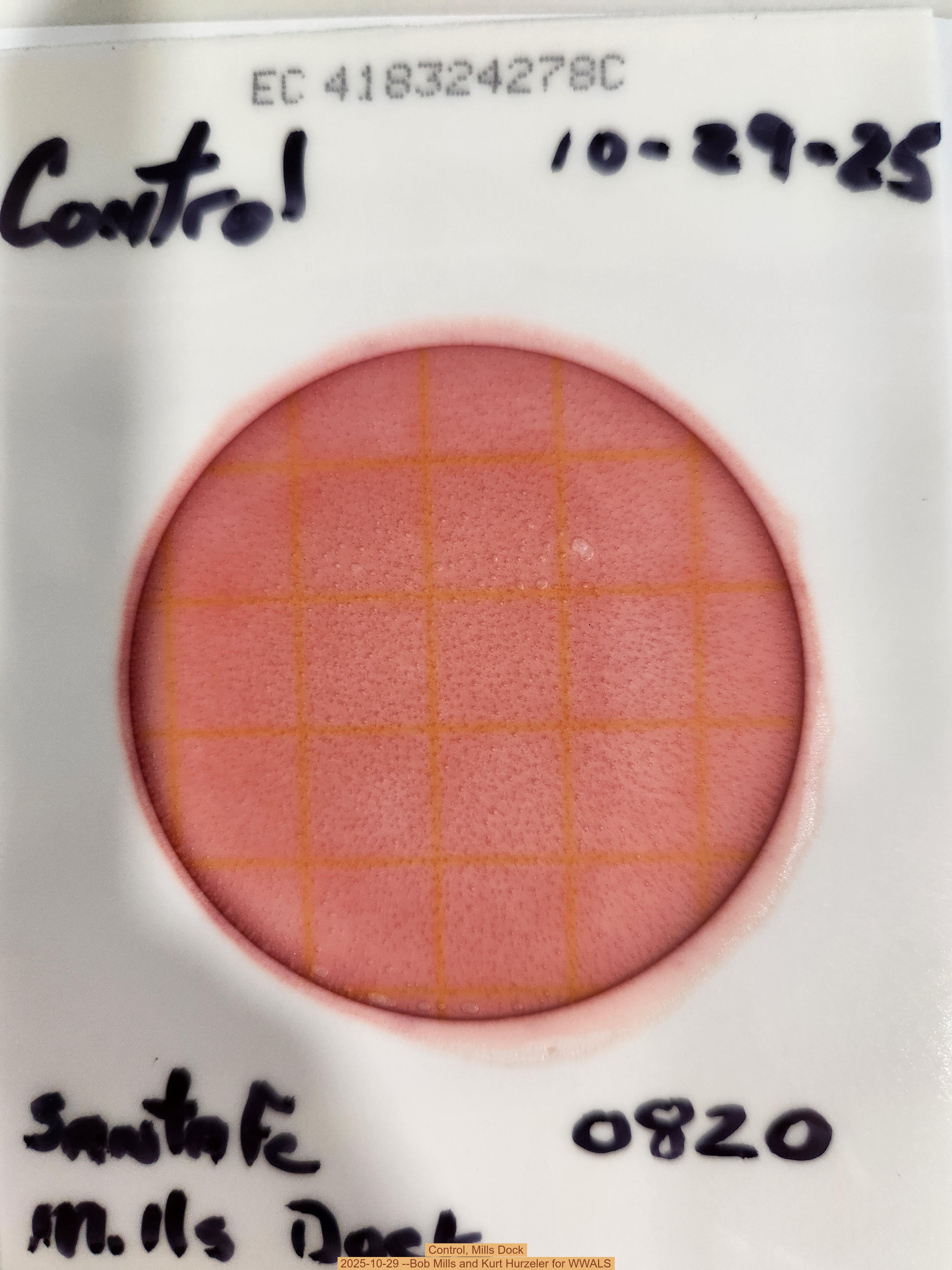 Control, Mills Dock 2025-10-29 --Bob Mills and Kurt Hurzeler for WWALS