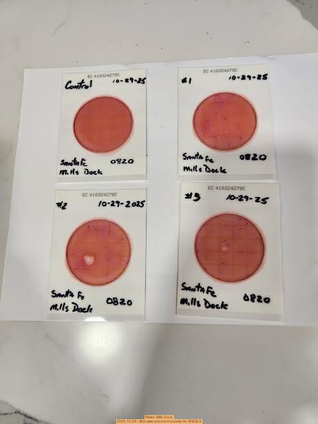 Plates, Mills Dock 2025-10-29 --Bob Mills and Kurt Hurzeler for WWALS