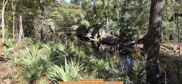 [Alapaha River Rise Run, 2025:11:01 13:13:32, 30.4383069, -83.0898289 --jsq for WWALS]