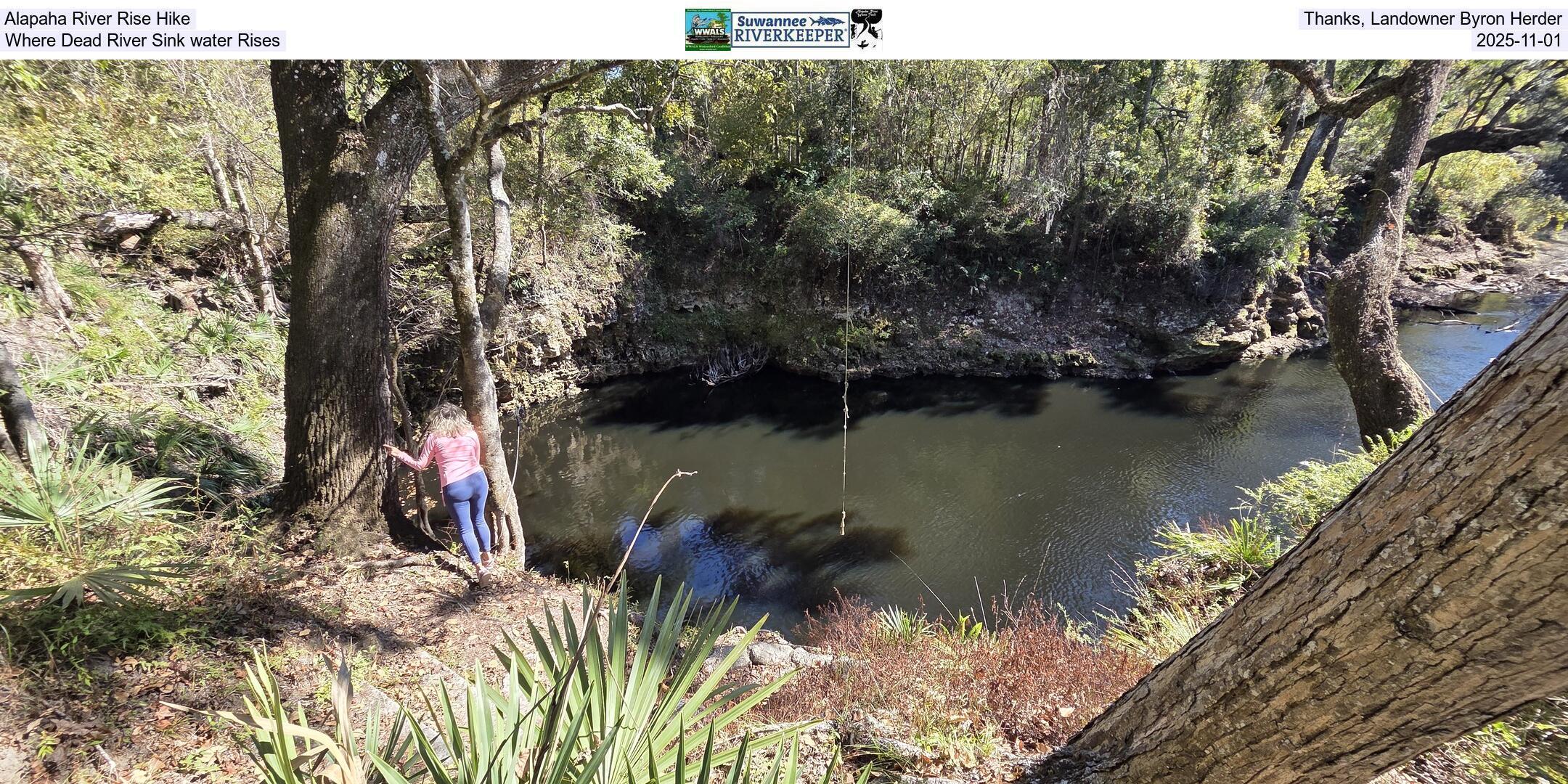 Alapaha River Rise Hike. Thanks, Landowner Byron Herder. Where Dead River Sink water Rises, 2025-11-01