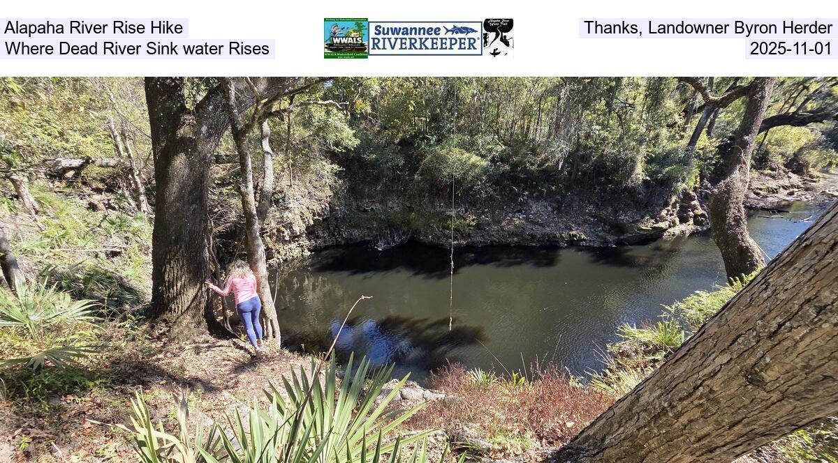 Alapaha River Rise Hike. Thanks, Landowner Byron Herder. Where Dead River Sink water Rises, 2025-11-01