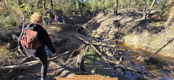 Hiking to the Dead River Sink, 2025:11:01 10:18:59, 30.5817395, -83.0516727 --jsq for WWALS