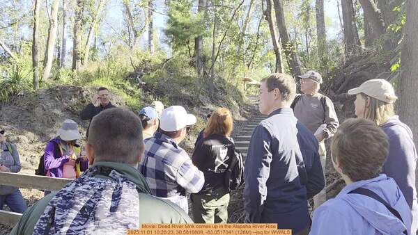 Movie: Dead River Sink comes up in the Alapaha River Rise, 2025:11:01 10:28:23, 30.5816809, -83.0517041 (128M) --jsq for WWALS