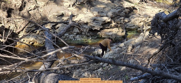 Elizabeth Descends, 2025:11:01 10:46:14, 30.5822841, -83.0516958 --jsq for WWALS