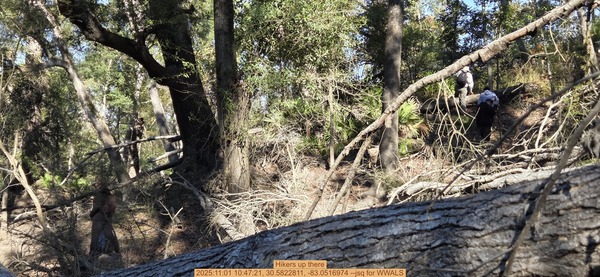 Hikers up there, 2025:11:01 10:47:21, 30.5822811, -83.0516974 --jsq for WWALS