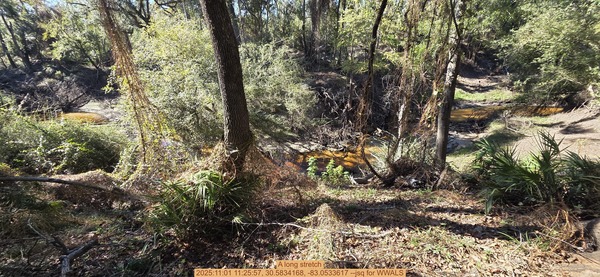 A long stretch, 2025:11:01 11:25:57, 30.5834168, -83.0533617 --jsq for WWALS