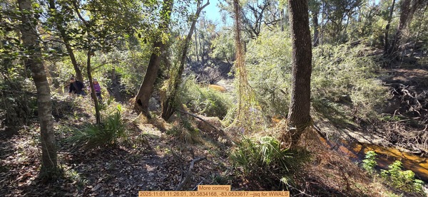 More coming, 2025:11:01 11:26:01, 30.5834168, -83.0533617 --jsq for WWALS