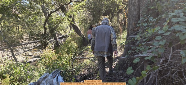 A rare clear path, 2025:11:01 11:48:31, 30.5838884, -83.0526727 --jsq for WWALS