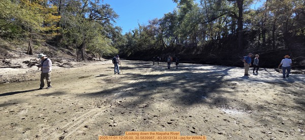 Looking down the Alapaha River, 2025:11:01 12:05:00, 30.5839987, -83.0513134 --jsq for WWALS