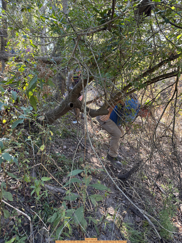 Don't fall off, 2025:11:01 11:15:55, 30.5821778, -83.0526972 --Dottie Price for WWALS