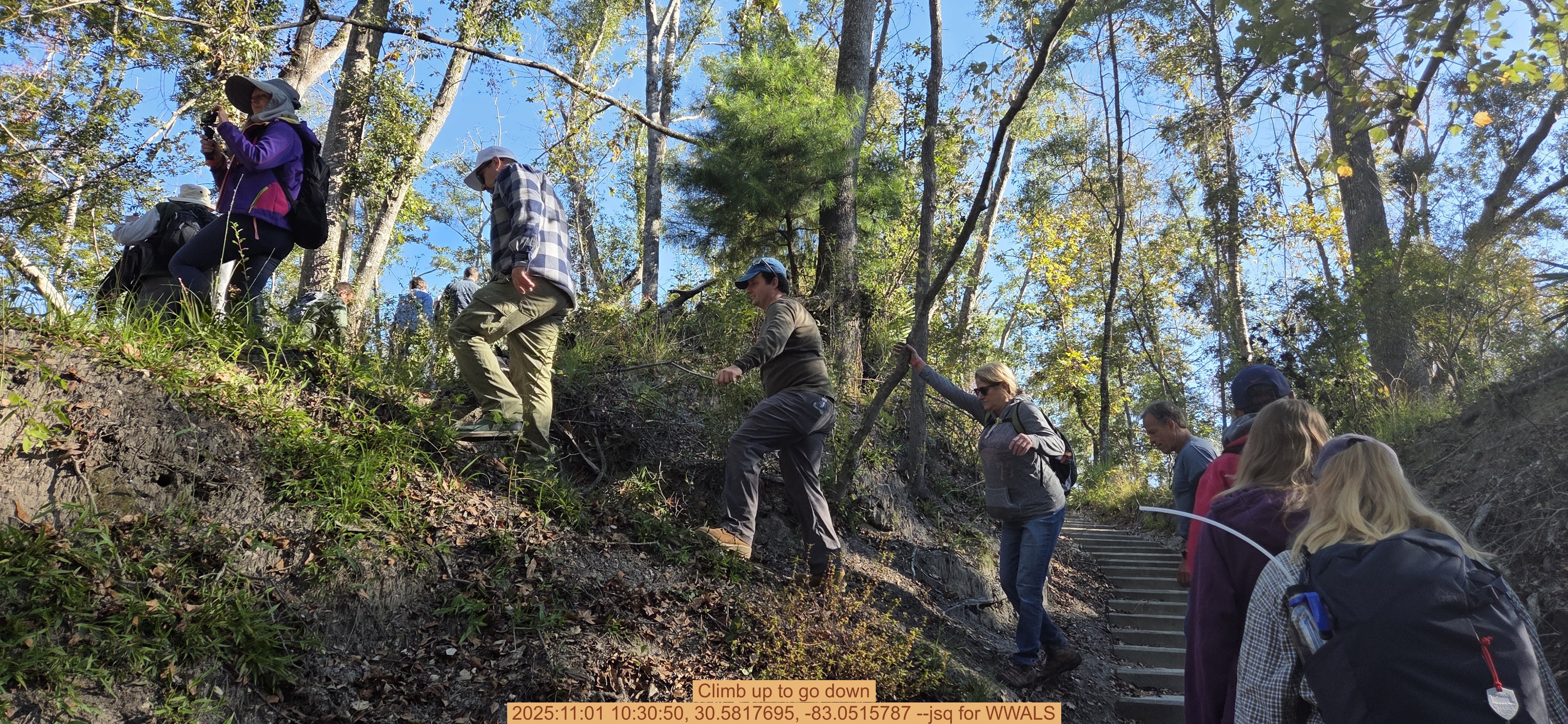 Climb up to go down, 2025:11:01 10:30:50, 30.5817695, -83.0515787 --jsq for WWALS